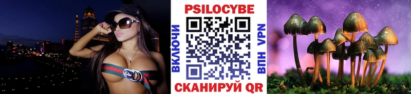Галлюциногенные грибы Cubensis  omg ONION  Красноуфимск 